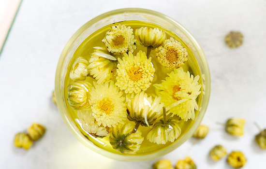胎菊和雪菊哪个功效好