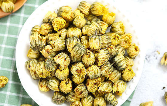菊花泡茶胎菊好吗