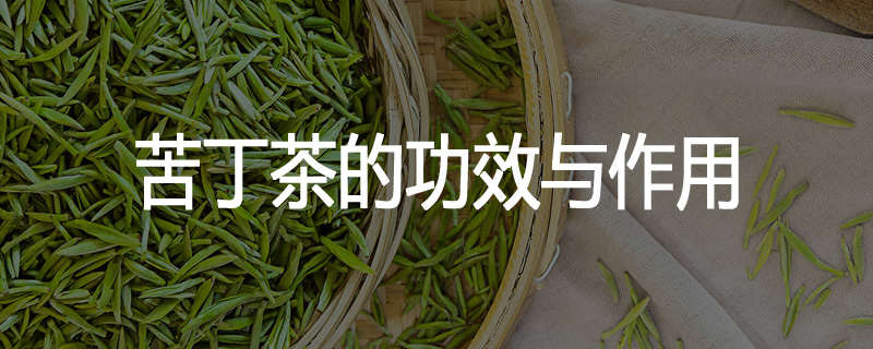 苦丁茶的功效与作用
