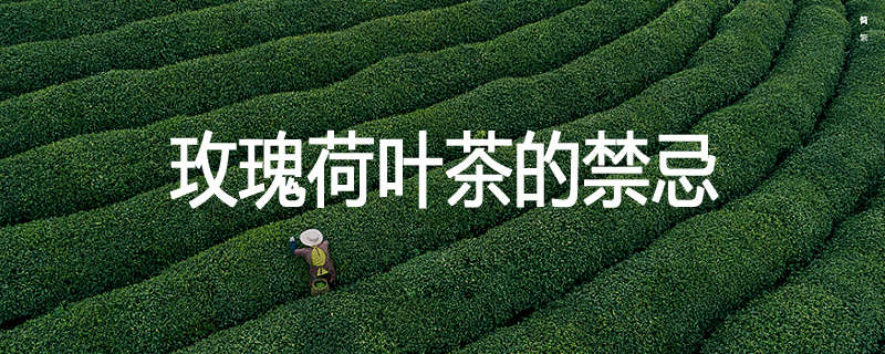 玫瑰荷叶茶的禁忌