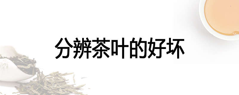 分辨茶叶的好坏