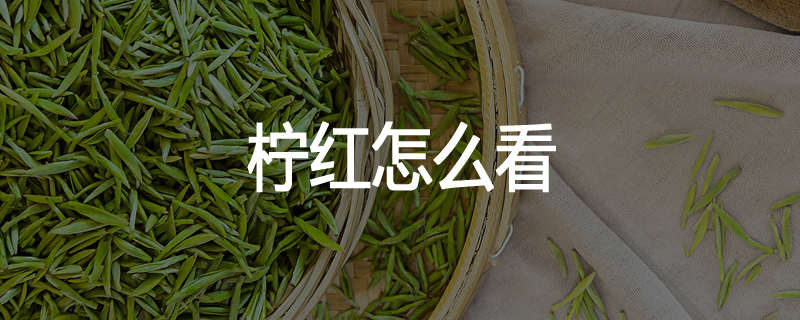 柠红怎么看