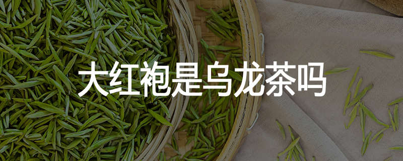 大红袍是乌龙茶吗
