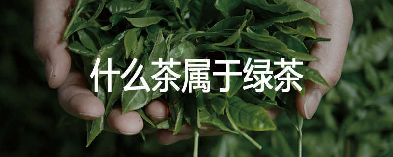 什么茶属于绿茶