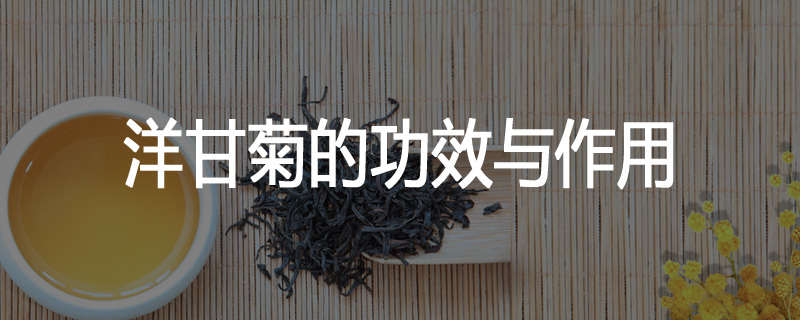 洋甘菊的功效与作用
