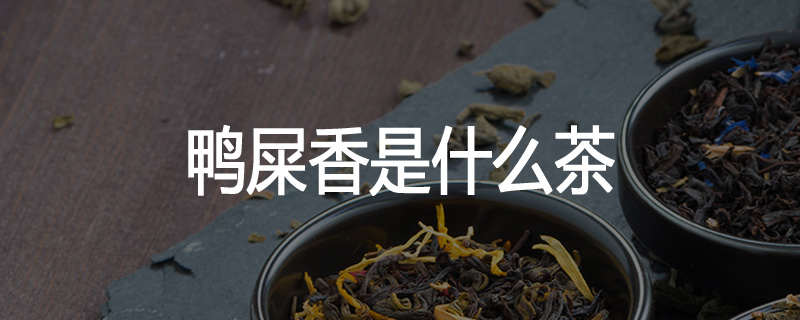 鸭屎香是什么茶
