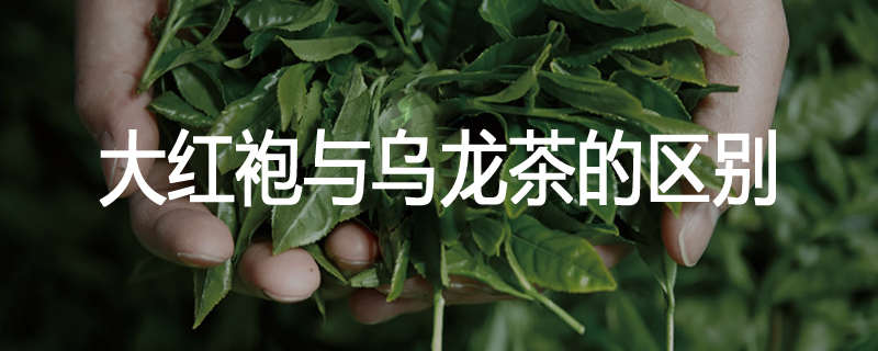 大红袍与乌龙茶的区别