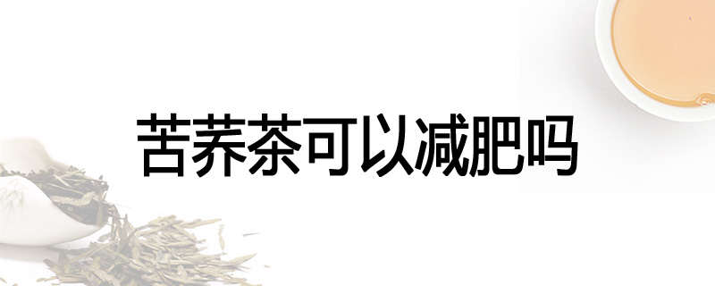 苦荞茶可以减肥吗