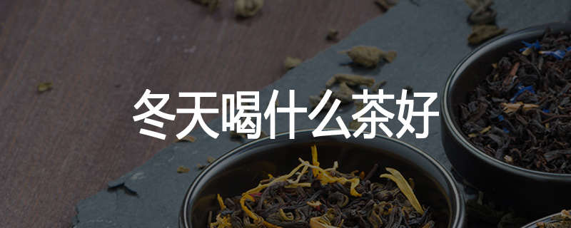 冬天喝什么茶好