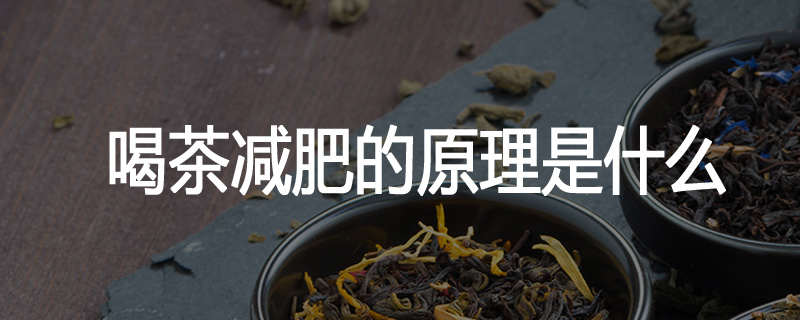 喝茶减肥的原理是什么