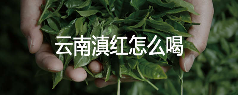 云南滇红怎么喝
