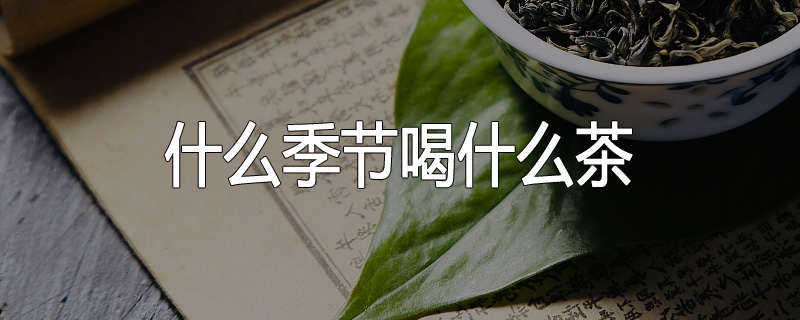 什么季节喝什么茶