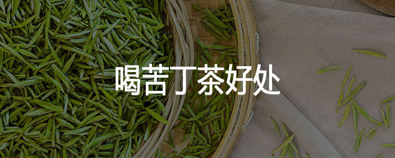 喝苦丁茶好处