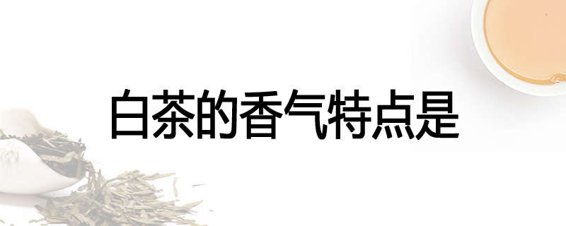 白茶的香气特点是