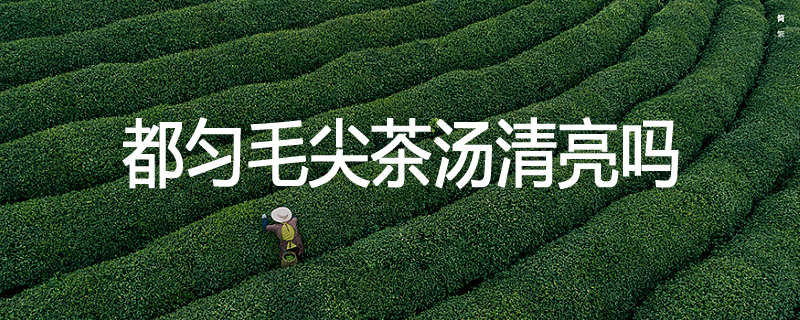 都匀毛尖茶汤清亮吗