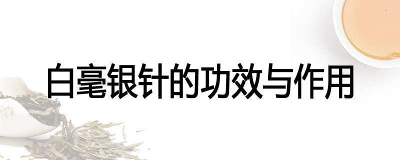 白毫银针的功效与作用