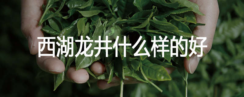西湖龙井什么样的好