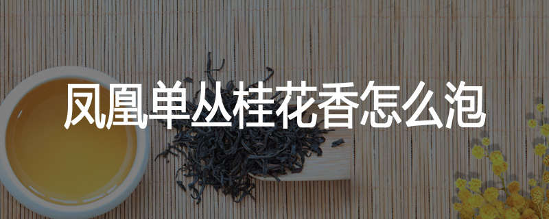 凤凰单丛桂花香怎么泡