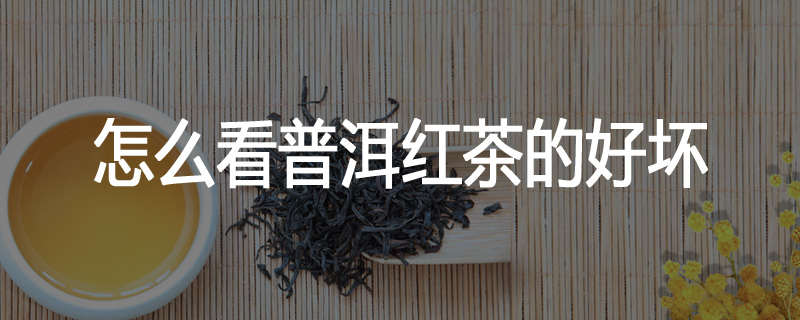怎么看普洱红茶的好坏