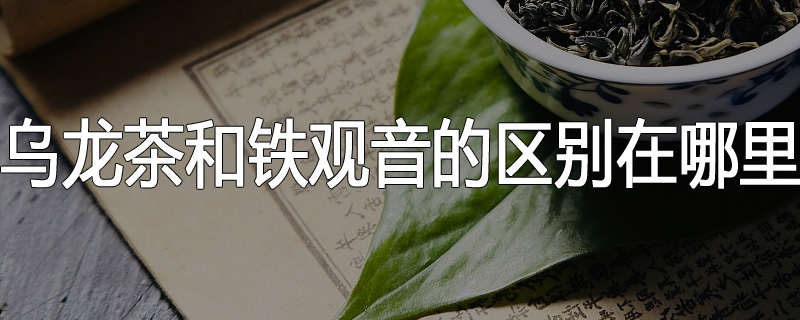 乌龙茶和铁观音的区别在哪里
