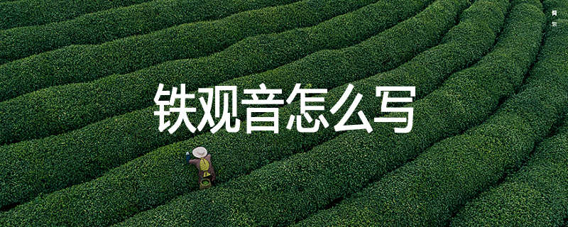 铁观音怎么写