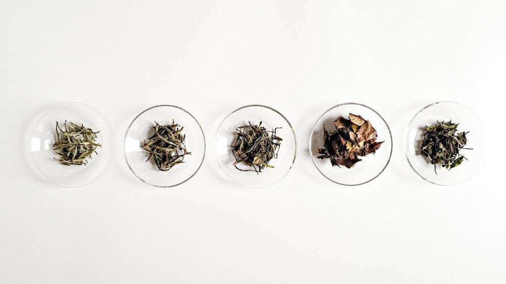 白茶如何分等级