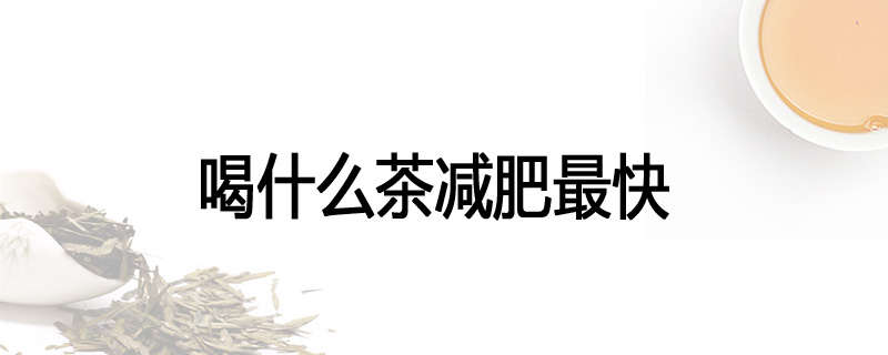 喝什么茶减肥最快