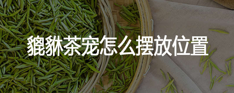 貔貅茶宠怎么摆放位置
