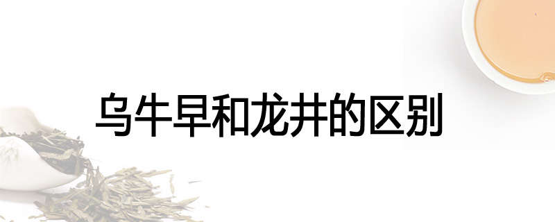 乌牛早和龙井的区别