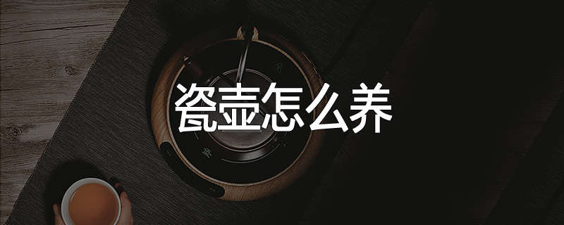 瓷壶怎么养