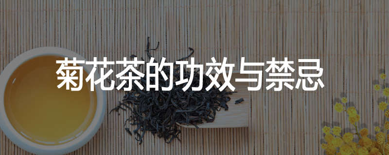 菊花茶的功效与禁忌