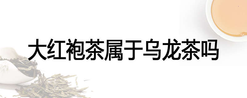 大红袍茶属于乌龙茶吗