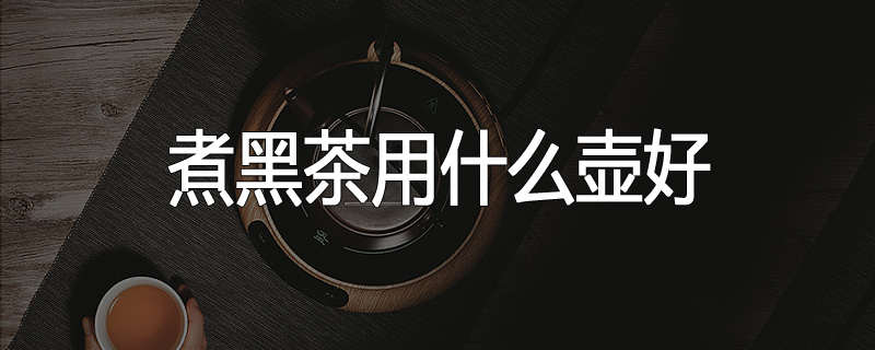 煮黑茶用什么壶好