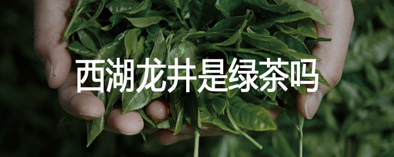 西湖龙井是绿茶吗