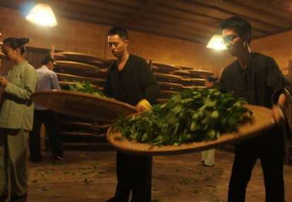 绿茶的制作工艺