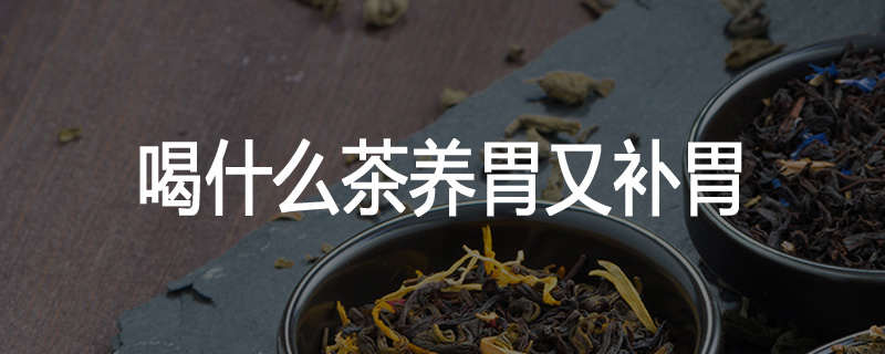喝什么茶养胃又补胃