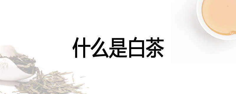 什么是白茶