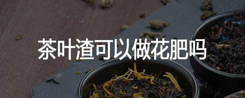 茶叶渣可以做花肥吗