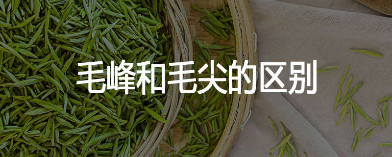 毛峰和毛尖的区别