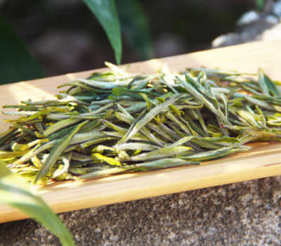 霍山黄芽怎么泡