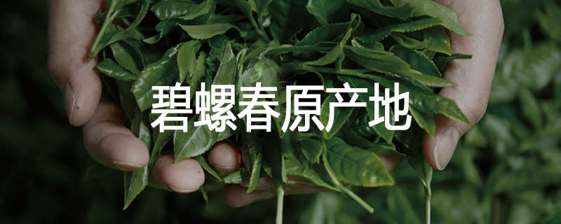 碧螺春原产地