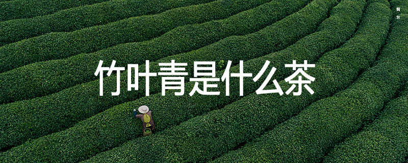 竹叶青是什么茶
