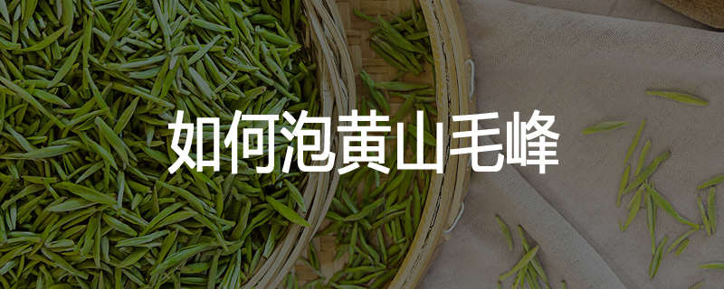 如何泡黄山毛峰