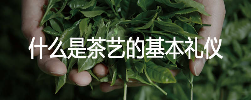 什么是茶艺的基本礼仪