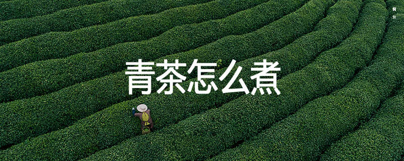 青茶怎么煮