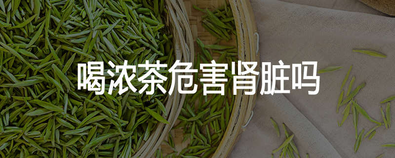 喝浓茶危害肾脏吗