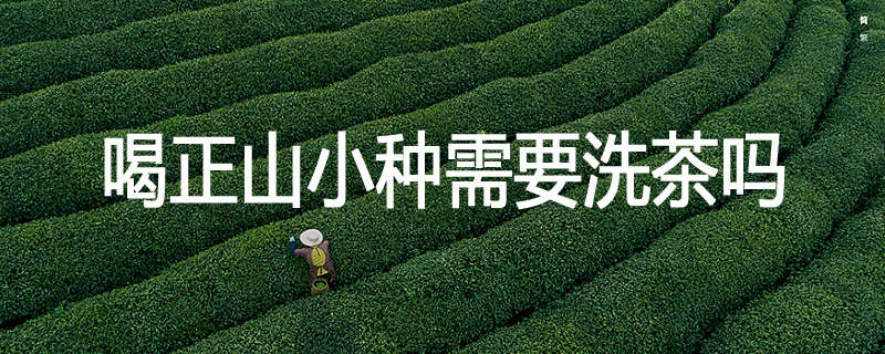 喝正山小种需要洗茶吗