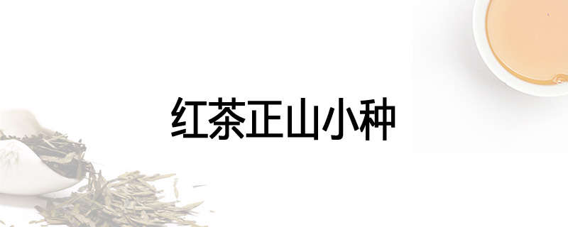 红茶正山小种
