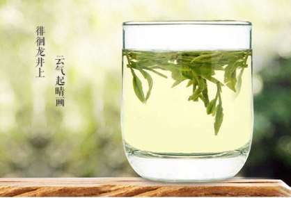 喝西湖龙井哪个牌子好