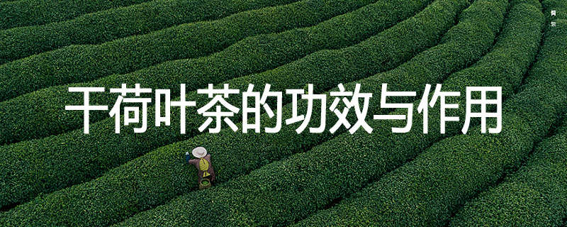干荷叶茶的功效与作用